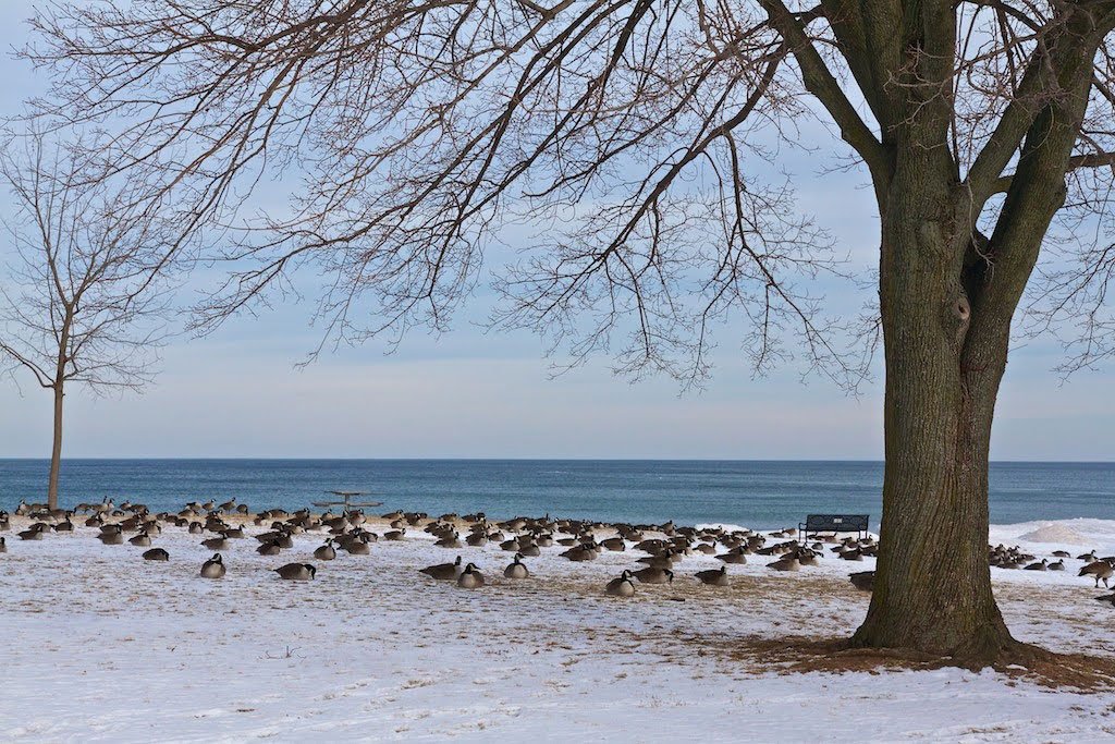 Winter Wonders: Grimsby's Best Cold-Weather Activities